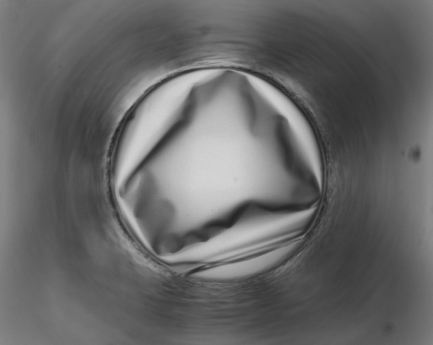 X0000116761423201001071146