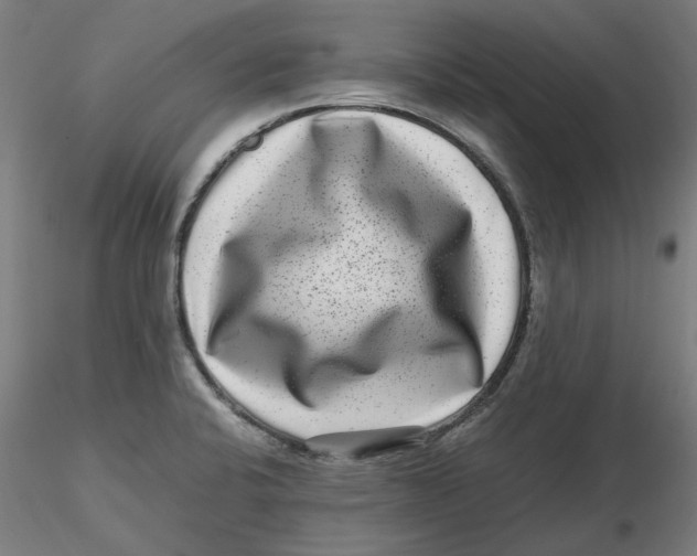 X0000116761424201001071146