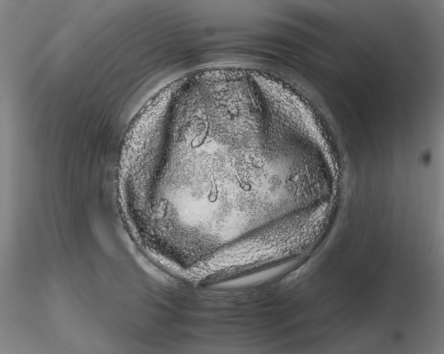 X0000116761425201001071146