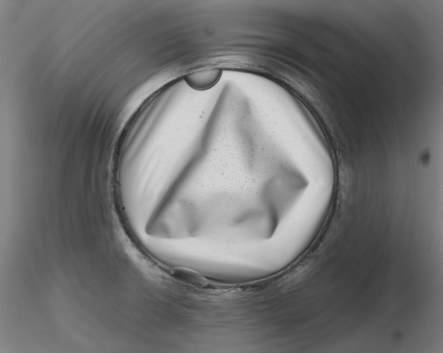 X0000116761426201001071146