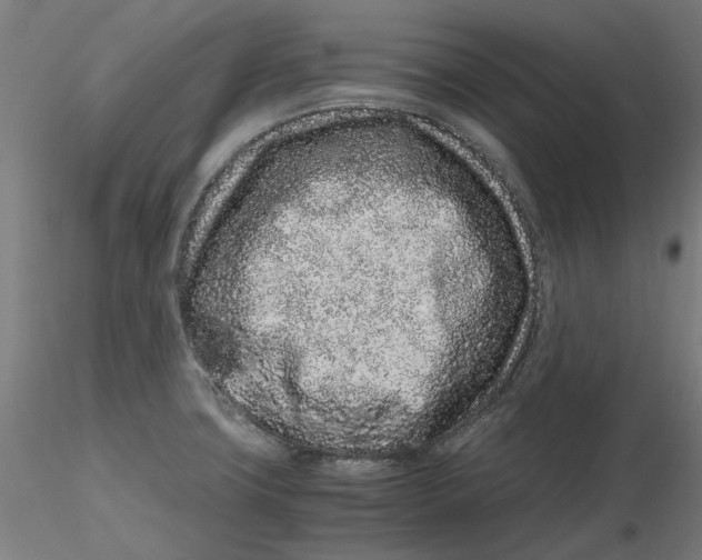 X0000116761427201001071146