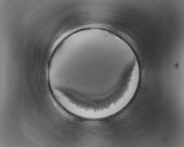 X0000116761428201001071146