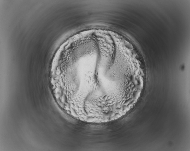 X0000116761429201001071146