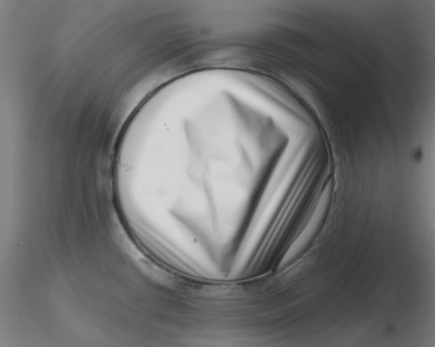 X0000116761434201001071146