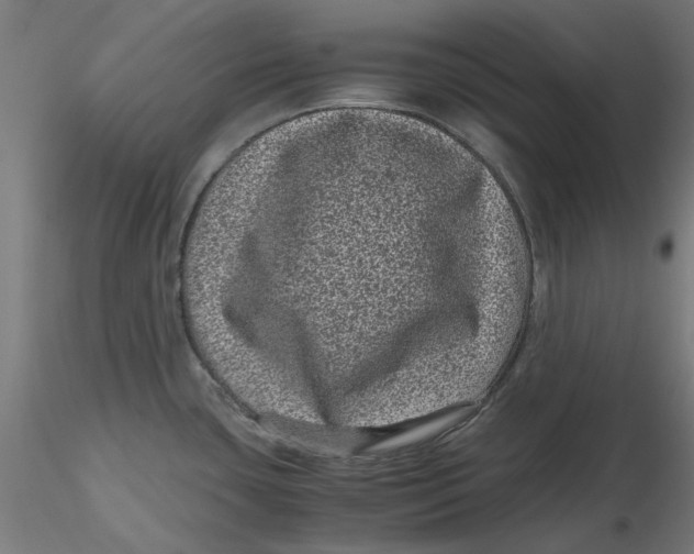 X0000116761435201001071146