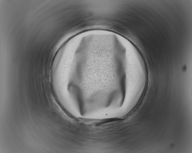 X0000116761436201001071146