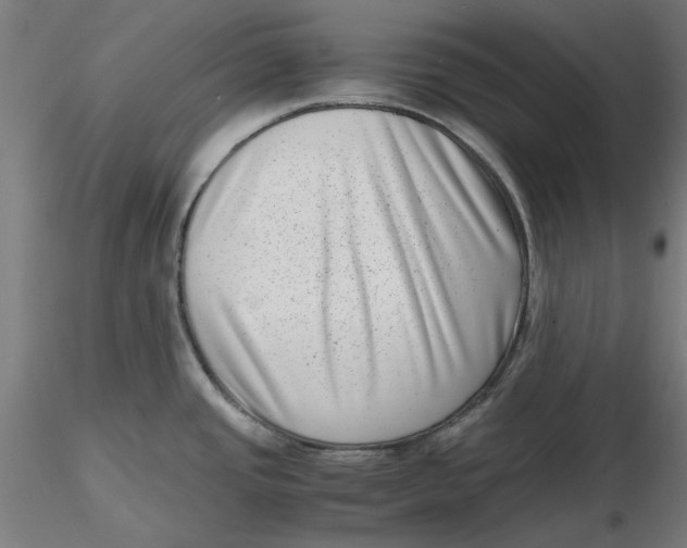 X0000116761437201001071146