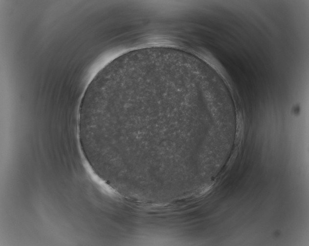 X0000116761439201001071146