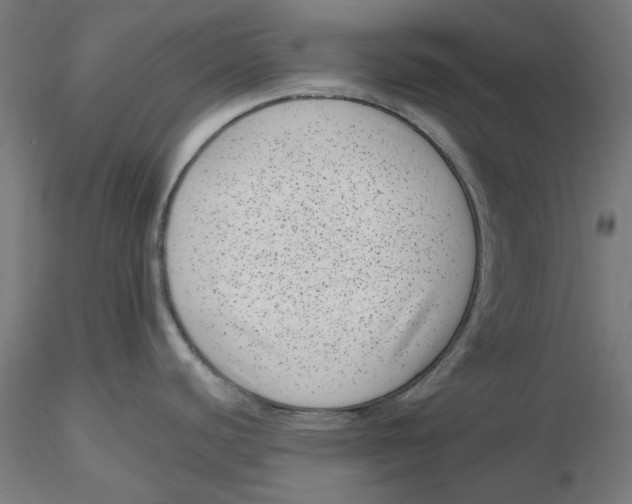 X0000116761440201001071146