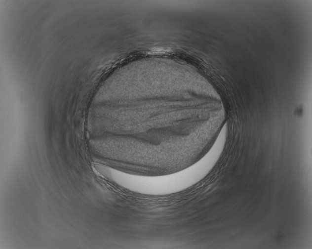 X0000116761441201001071145