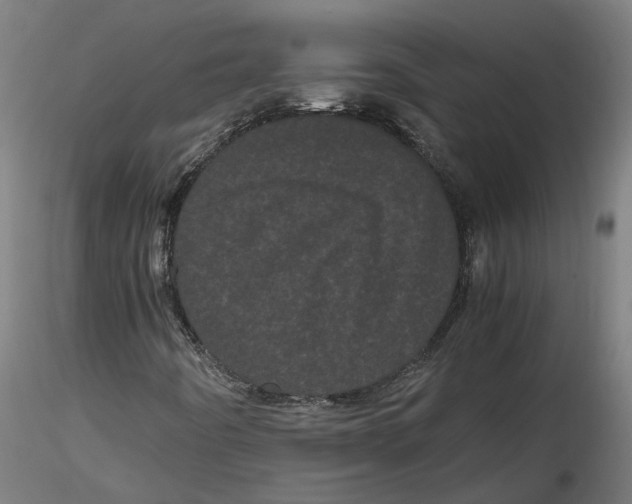 X0000116761442201001071145