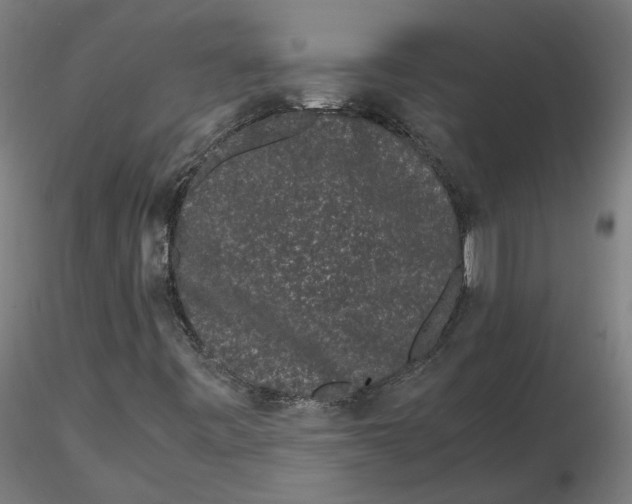 X0000116761443201001071145