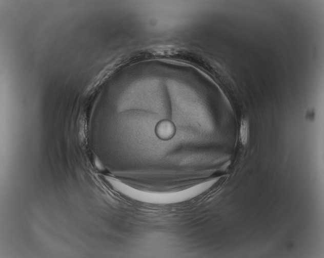 X0000116761444201001071145