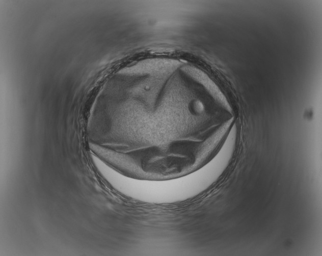 X0000116761445201001071145