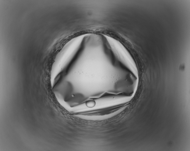 X0000116761447201001071145