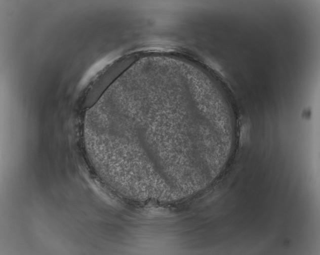 X0000116761448201001071145