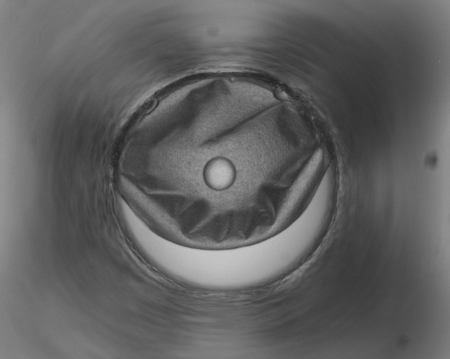 X0000116761449201001071145