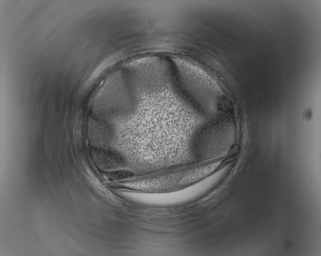 X0000116761450201001071145