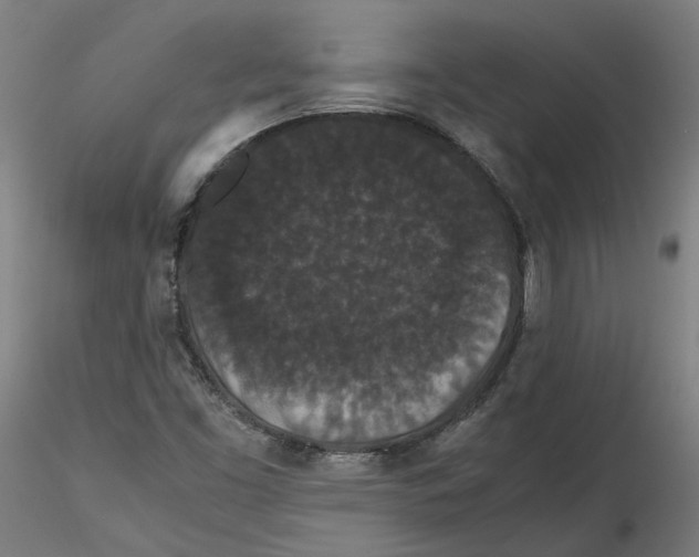 X0000116761453201001071145