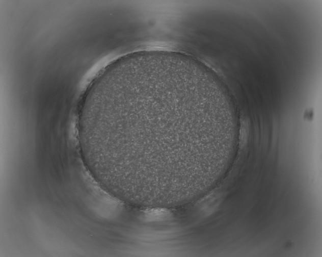 X0000116761454201001071145