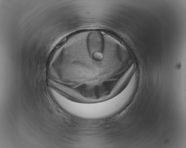 X0000116761457201001071145