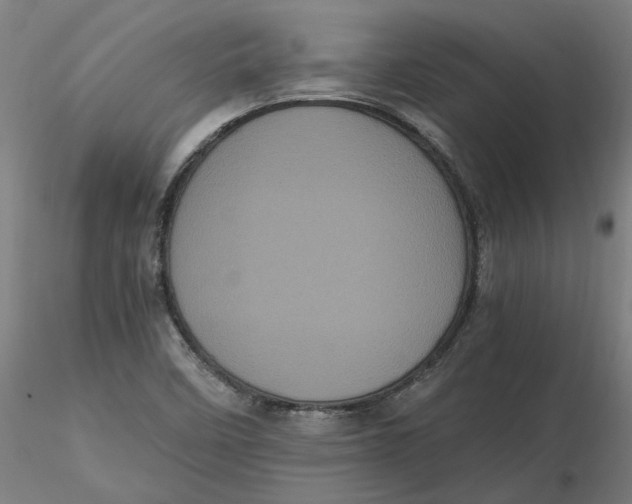 X0000116761458201001071145