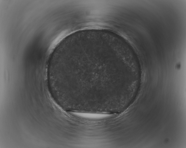 X0000116761459201001071145