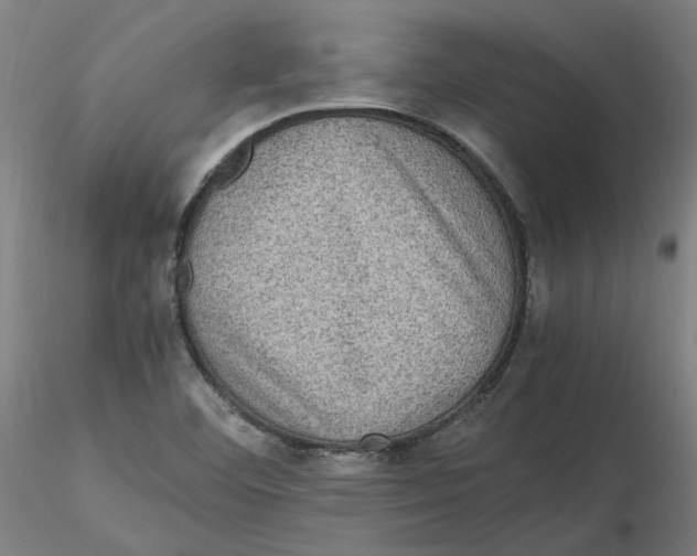 X0000116761460201001071145