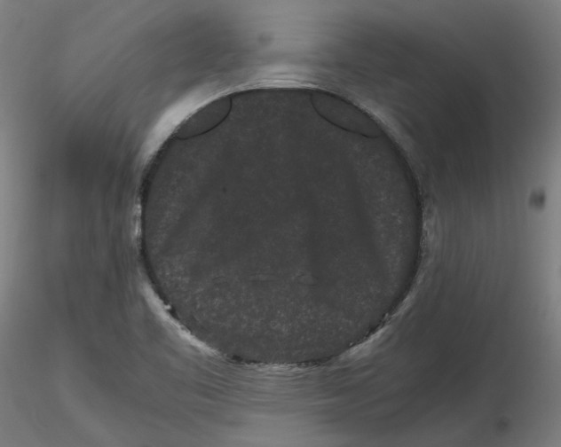 X0000116761461201001071145