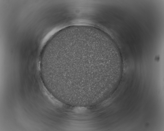 X0000116761462201001071145