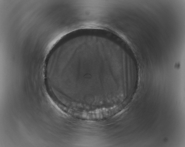 X0000116761463201001071145