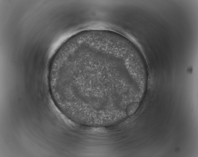 X0000116761464201001071145