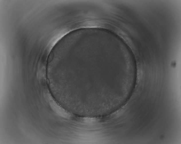 X0000116761465201001071145