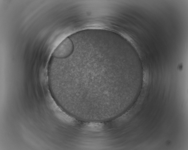 X0000116761466201001071145