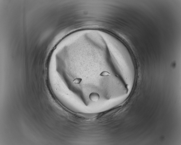 X0000116761467201001071145