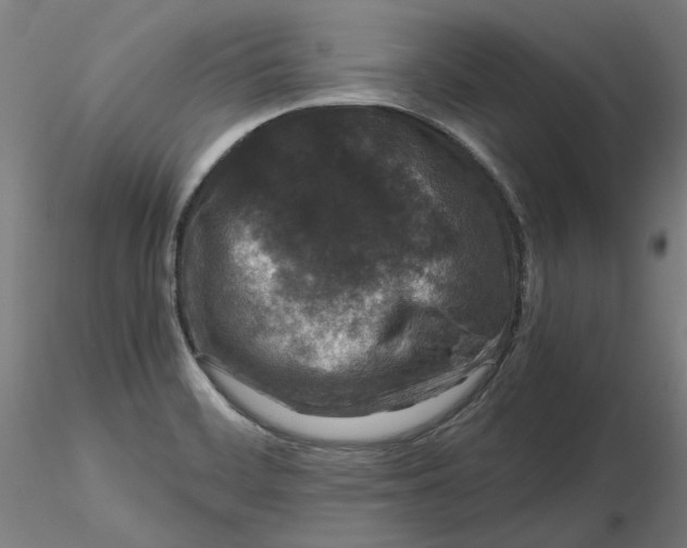 X0000116761468201001071145