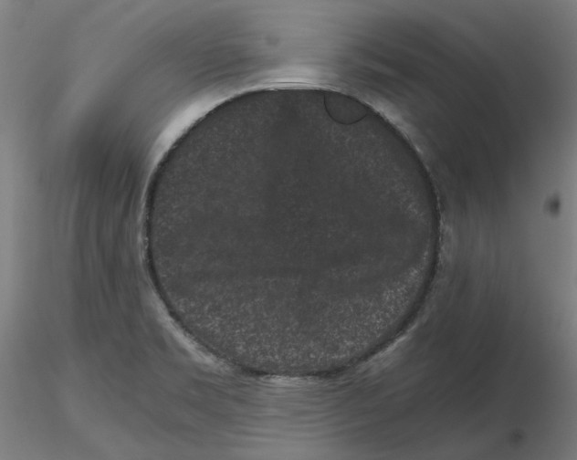 X0000116761469201001071145