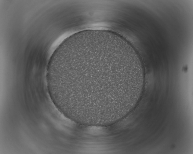 X0000116761470201001071145