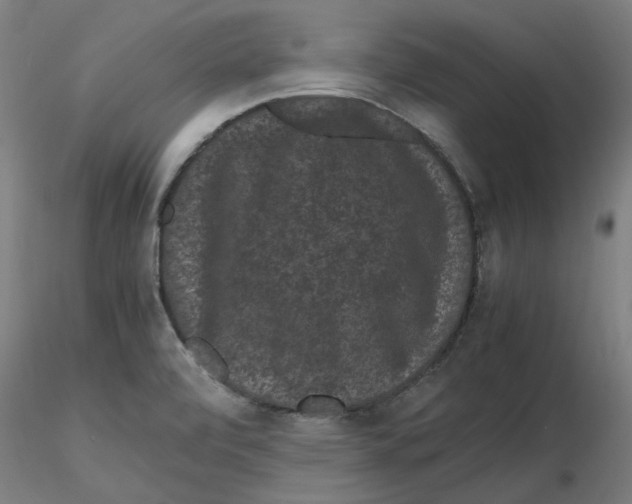 X0000116761472201001071145