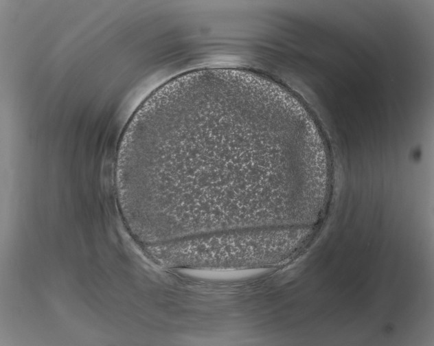 X0000116761473201001071145