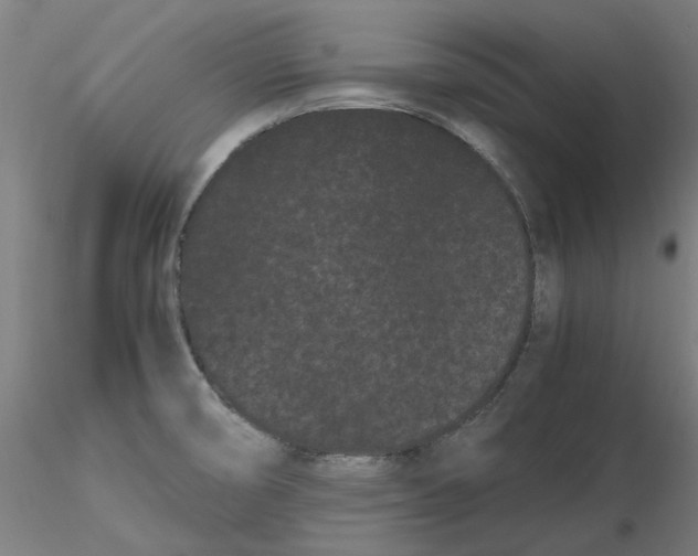 X0000116761474201001071145