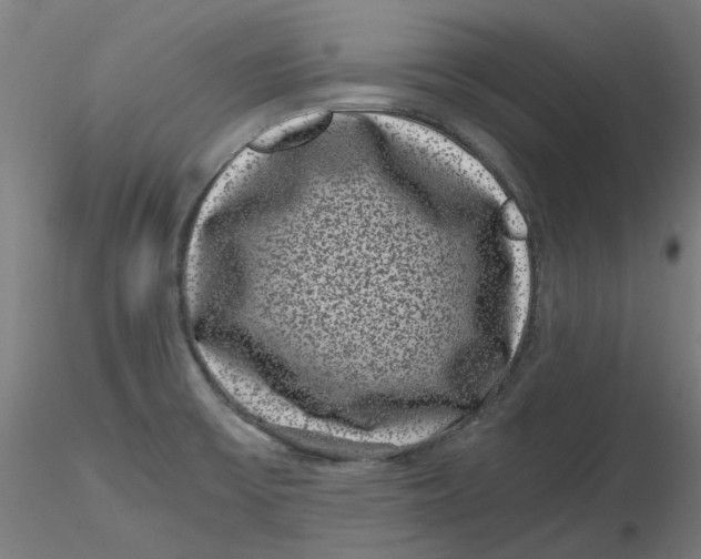 X0000116761475201001071145