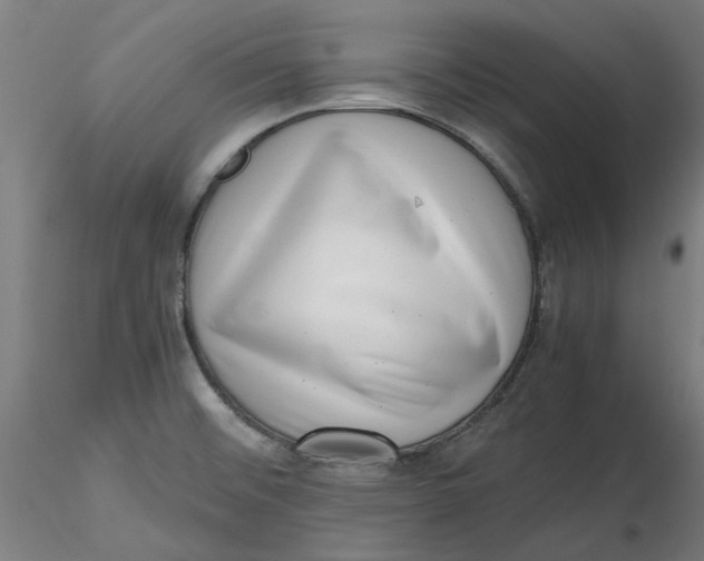 X0000116761476201001071145