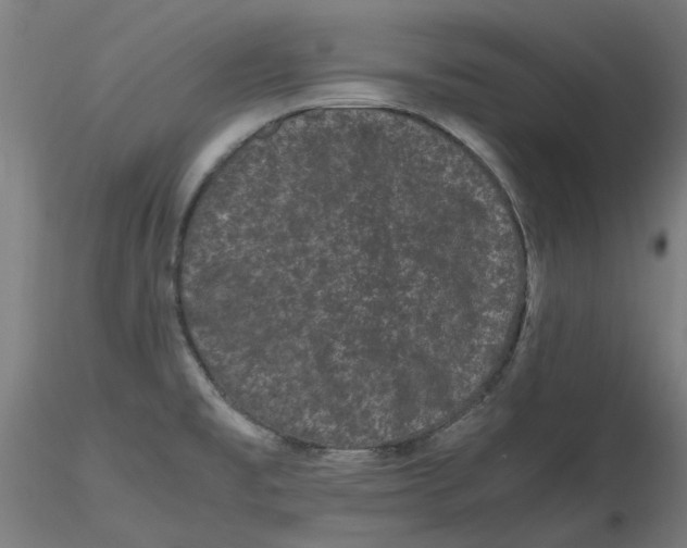 X0000116761477201001071145