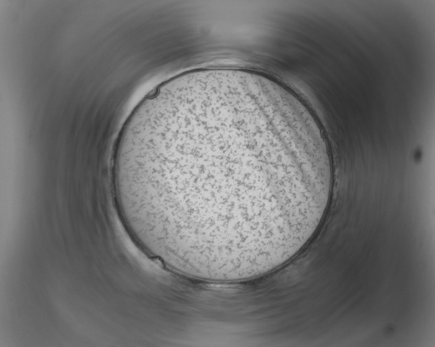 X0000116761483201001071145