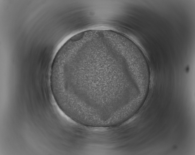 X0000116761484201001071145