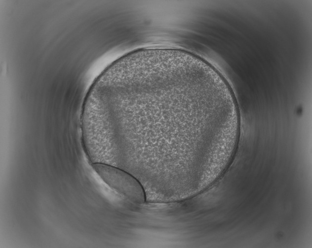 X0000116761485201001071145