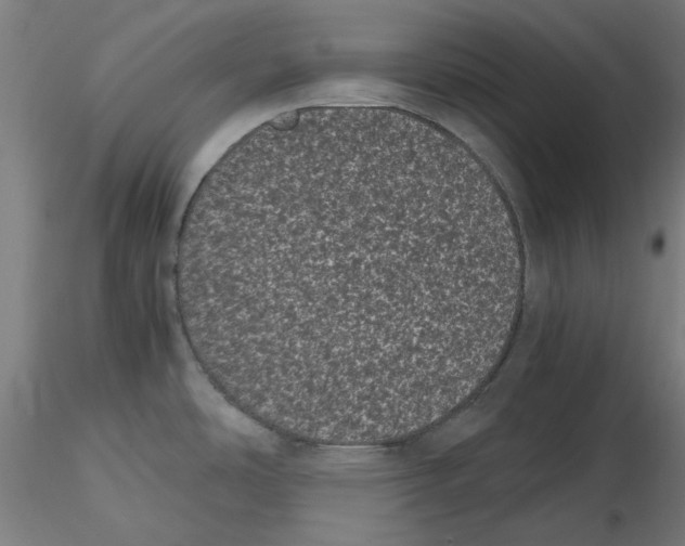 X0000116761486201001071145