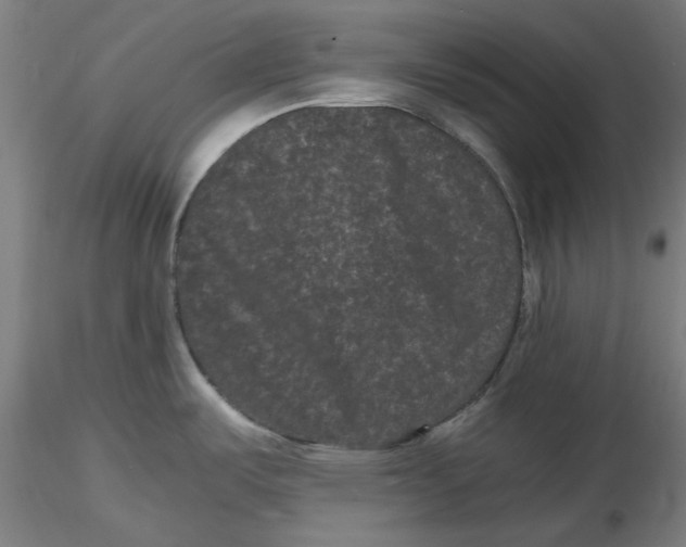 X0000116761487201001071145