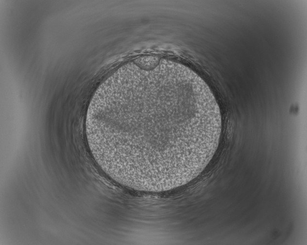 X0000116761489201001071144